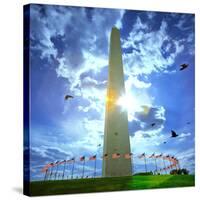 Low Angle View of the Washington Monument, the Mall, Washington Dc, USA-null-Stretched Canvas