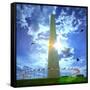 Low Angle View of the Washington Monument, the Mall, Washington Dc, USA-null-Framed Stretched Canvas