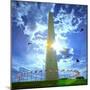 Low Angle View of the Washington Monument, the Mall, Washington Dc, USA-null-Mounted Photographic Print