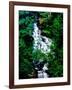 Low angle view of the Wolf Creek Falls, Vogel State Park, North Georgia Mountains, Georgia, USA-null-Framed Photographic Print