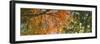 Low angle view of tree branch, Hoyt Arboretum, Washington Park, Portland, Oregon, USA-Panoramic Images-Framed Photographic Print