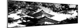 Low Angle View of Trees in Front of a Temple, Kinkaku-Ji Temple, Kyoto City, Kyoto Prefecture-null-Mounted Photographic Print