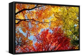 Low angle view of trees-null-Framed Stretched Canvas