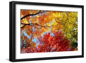 Low angle view of trees-null-Framed Photographic Print