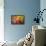 Low angle view of trees-null-Framed Stretched Canvas displayed on a wall