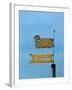 Low angle view of weather vane-null-Framed Photographic Print