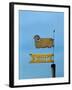 Low angle view of weather vane-null-Framed Photographic Print