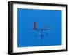 Low angle view of weather vane-null-Framed Photographic Print