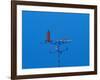 Low angle view of weather vane-null-Framed Photographic Print