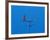 Low angle view of weather vane-null-Framed Photographic Print