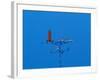 Low angle view of weather vane-null-Framed Photographic Print