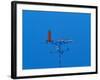 Low angle view of weather vane-null-Framed Photographic Print