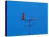 Low angle view of weather vane-null-Stretched Canvas