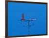 Low angle view of weather vane-null-Framed Photographic Print