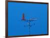 Low angle view of weather vane-null-Framed Photographic Print