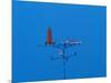 Low angle view of weather vane-null-Mounted Photographic Print