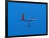 Low angle view of weather vane-null-Framed Photographic Print