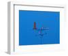 Low angle view of weather vane-null-Framed Photographic Print