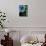 Low angle view of West Indian treefern (Cyathea arborea), Papillote Wilderness Retreat, Dominica-null-Framed Stretched Canvas displayed on a wall