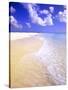 Low Bay Beach, Barbuda, Antigua-Michael DeFreitas-Stretched Canvas