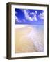 Low Bay Beach, Barbuda, Antigua-Michael DeFreitas-Framed Photographic Print