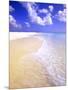 Low Bay Beach, Barbuda, Antigua-Michael DeFreitas-Mounted Photographic Print