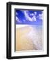 Low Bay Beach, Barbuda, Antigua-Michael DeFreitas-Framed Photographic Print