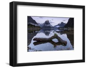 Low cloud below Mitre Peak, Milford Sound, Fiordland National Park, South Island, New Zealand-Ed Rhodes-Framed Photographic Print