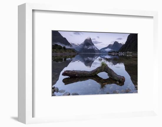 Low cloud below Mitre Peak, Milford Sound, Fiordland National Park, South Island, New Zealand-Ed Rhodes-Framed Photographic Print