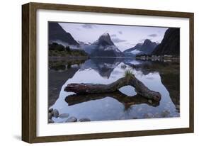 Low cloud below Mitre Peak, Milford Sound, Fiordland National Park, South Island, New Zealand-Ed Rhodes-Framed Photographic Print