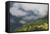 Low Clouds over Meadows Surrounded by Trees, with Small Farm Buildings Near Fliess, Tirol, Austria-Benvie-Framed Stretched Canvas