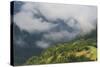 Low Clouds over Meadows Surrounded by Trees, with Small Farm Buildings Near Fliess, Tirol, Austria-Benvie-Stretched Canvas