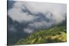 Low Clouds over Meadows Surrounded by Trees, with Small Farm Buildings Near Fliess, Tirol, Austria-Benvie-Stretched Canvas
