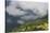 Low Clouds over Meadows Surrounded by Trees, with Small Farm Buildings Near Fliess, Tirol, Austria-Benvie-Stretched Canvas