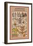 Low Country Adornments in the XV Century-Friedrich Hottenroth-Framed Art Print