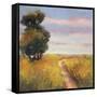 Low Country Landscape I-Adam Rogers-Framed Stretched Canvas