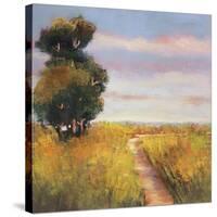 Low Country Landscape I-Adam Rogers-Stretched Canvas