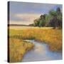 Low Country Landscape II-Adam Rogers-Stretched Canvas