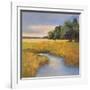 Low Country Landscape II-Adam Rogers-Framed Art Print