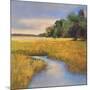 Low Country Landscape II-Adam Rogers-Mounted Art Print