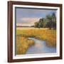 Low Country Landscape II-Adam Rogers-Framed Art Print