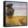 Low Country Petites A-Adam Rogers-Framed Stretched Canvas