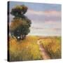 Low Country Petites A-Adam Rogers-Stretched Canvas