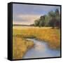 Low Country Petites B-Adam Rogers-Framed Stretched Canvas