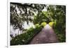 Low Country Walking Path, Charleston,SC-George Oze-Framed Photographic Print