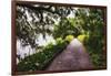 Low Country Walking Path, Charleston,SC-George Oze-Framed Photographic Print