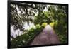 Low Country Walking Path, Charleston,SC-George Oze-Framed Photographic Print