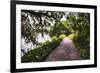 Low Country Walking Path, Charleston,SC-George Oze-Framed Photographic Print