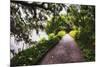 Low Country Walking Path, Charleston,SC-George Oze-Mounted Photographic Print