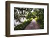 Low Country Walking Path, Charleston,SC-George Oze-Framed Photographic Print